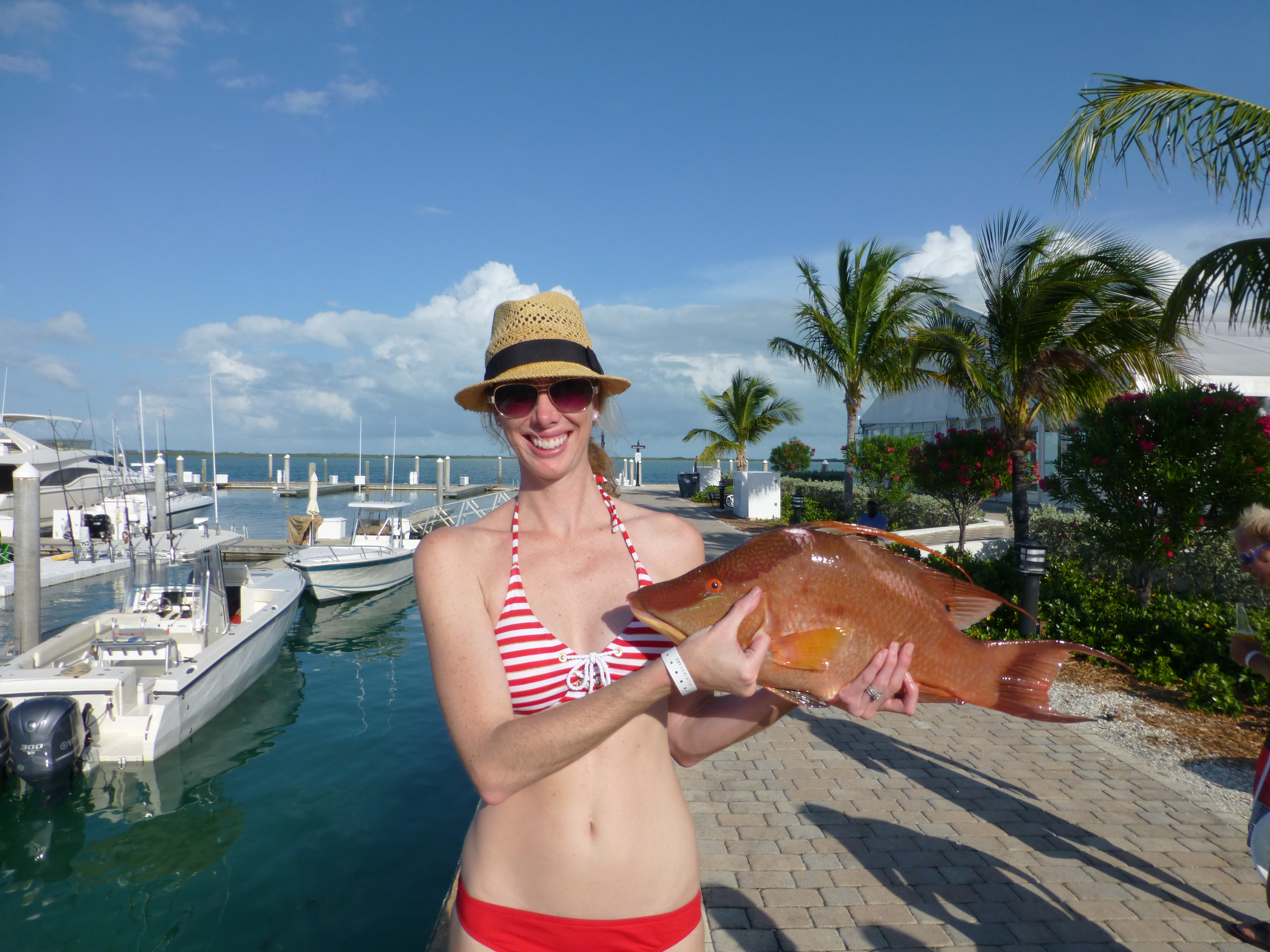 Hogfish catch