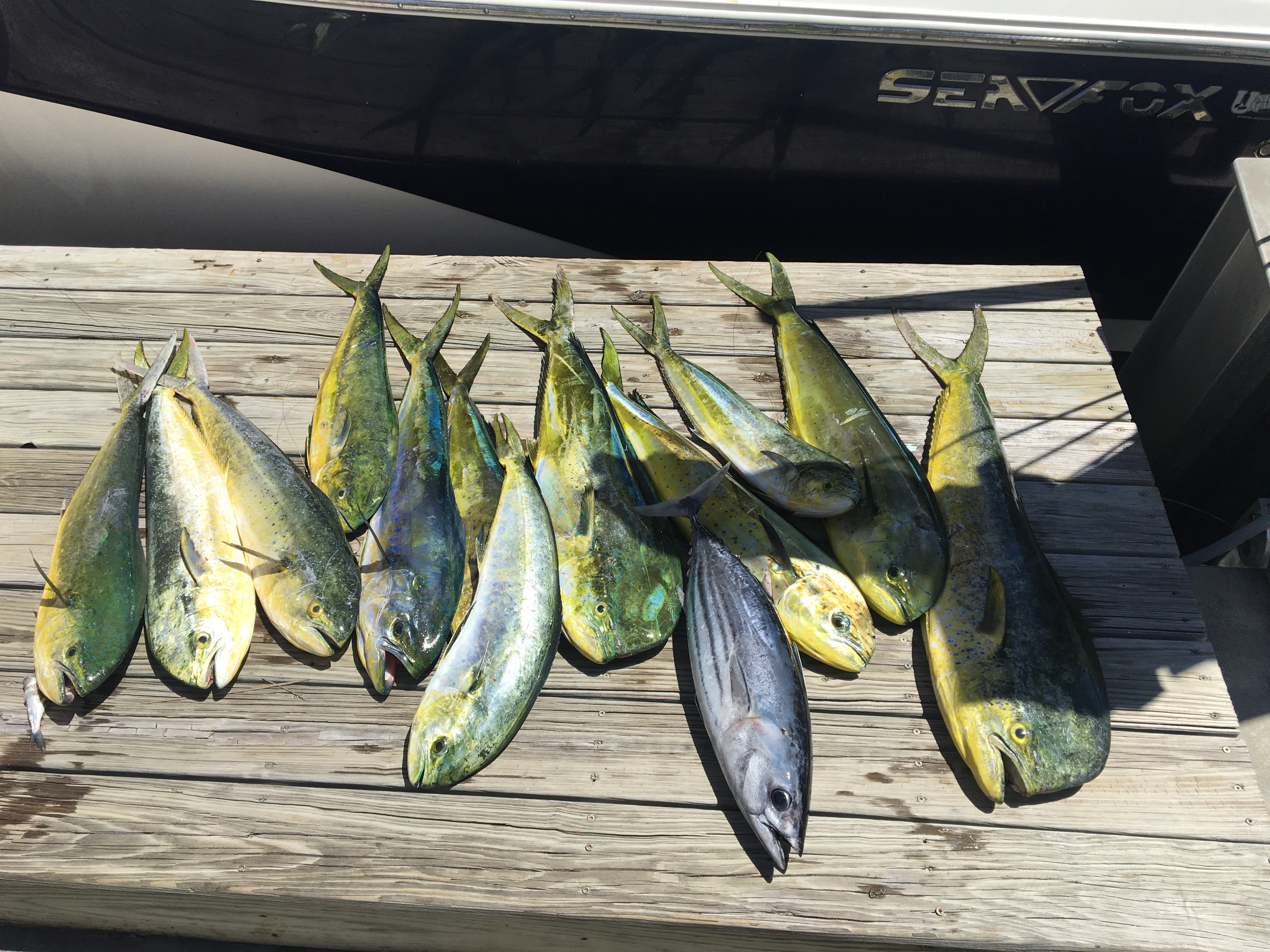 Lobster haul with crew
