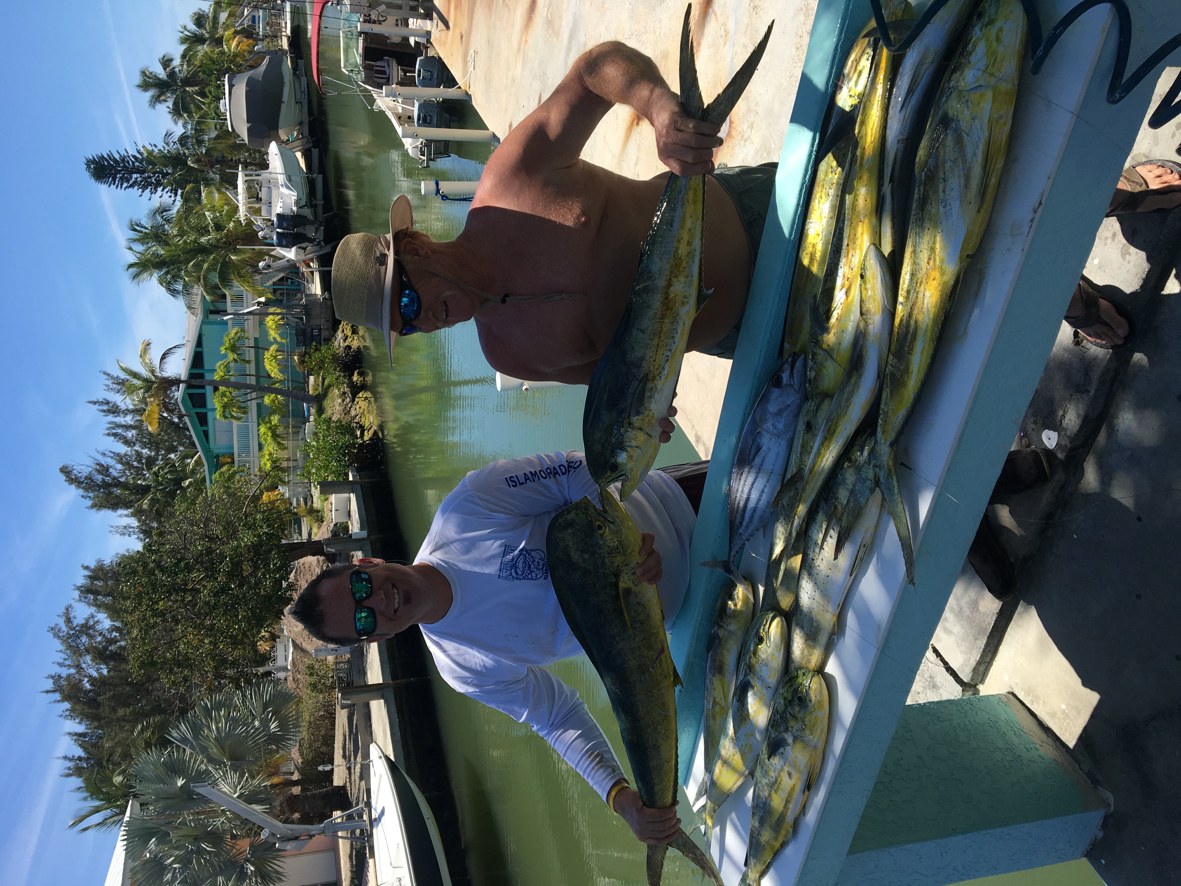 Mahi and tuna spread