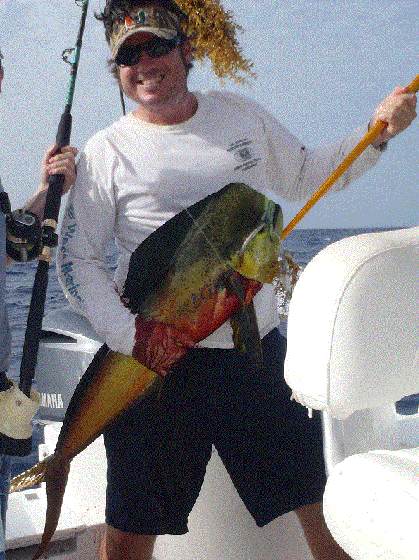 Mahi gaff action