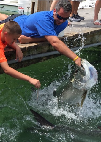 Tarpon catch
